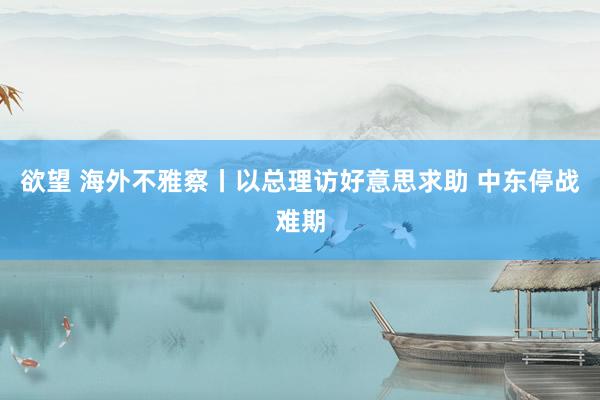 欲望 海外不雅察丨以总理访好意思求助 中东停战难期