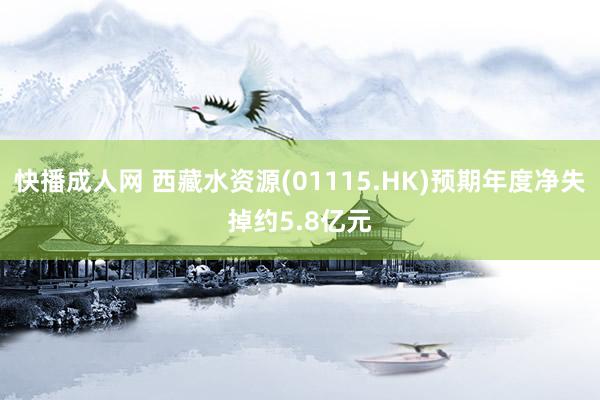 快播成人网 西藏水资源(01115.HK)预期年度净失掉约5.8亿元