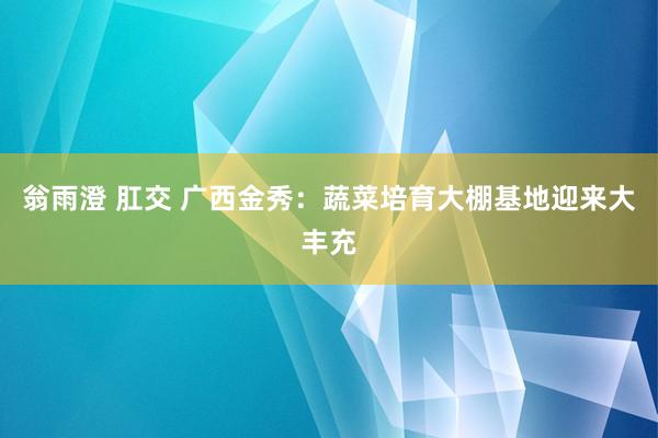 翁雨澄 肛交 广西金秀：蔬菜培育大棚基地迎来大丰充