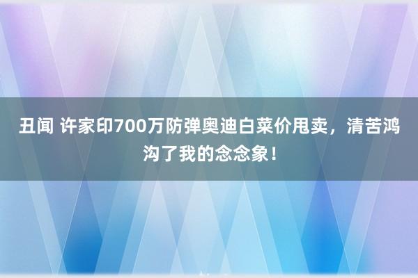 丑闻 许家印700万防弹奥迪白菜价甩卖，清苦鸿沟了我的念念象！
