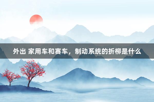 外出 家用车和赛车，制动系统的折柳是什么