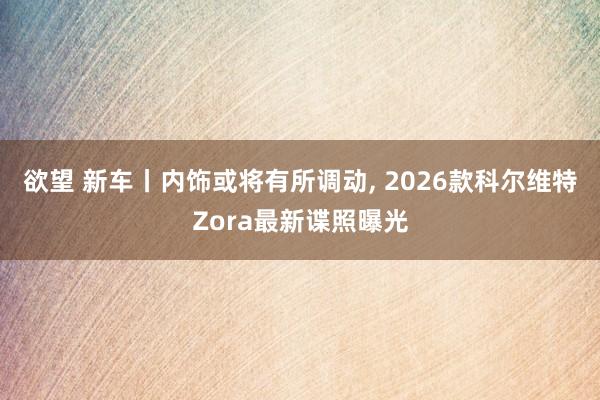 欲望 新车丨内饰或将有所调动， 2026款科尔维特Zora最新谍照曝光
