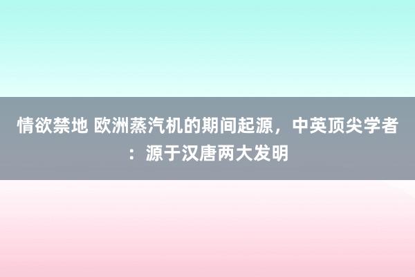 情欲禁地 欧洲蒸汽机的期间起源，中英顶尖学者：源于汉唐两大发明